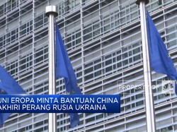 Demi Akhiri Perang Rusia-Ukraina, UE Minta Bantuan China