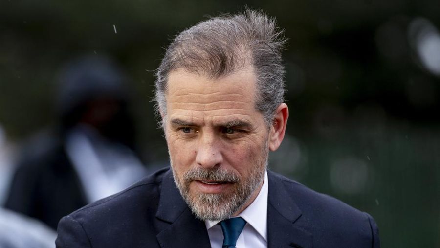 Hunter Biden. (AP Photo)