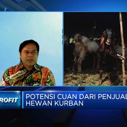 Baznas: Jumlah Kurban Iduladha 2023 Bisa Tembus 10 Juta Ekor