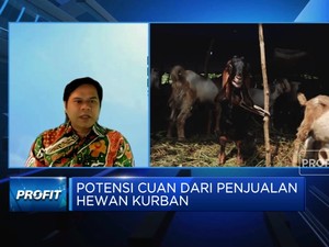 Baznas: Jumlah Kurban Iduladha 2023 Bisa Tembus 10 Juta Ekor