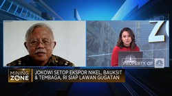 Larangan Ekspor Digugat, Hilirisasi Nikel-Bauksit Terhambat?