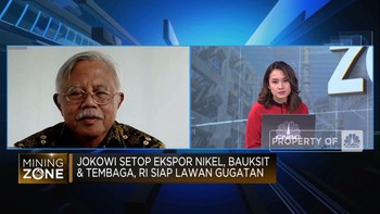 Larangan Ekspor Digugat, Hilirisasi Nikel-Bauksit Terhambat?