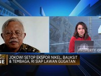 Larangan Ekspor Digugat, Hilirisasi Nikel-Bauksit Terhambat?
