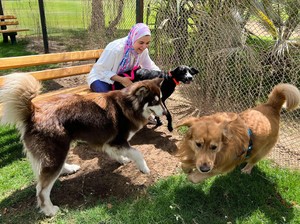Hukum Memelihara Anjing dalam Islam