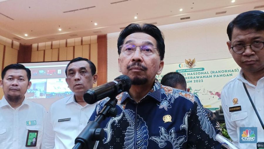 Plt Sekretaris Utama Bapanas, Sarwo Edhy. (CNBC Indonesia/Martyasari Rizky)