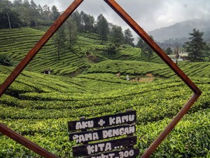 DPR ke Menpar: Jangan Biarkan Pesawat Haji Pulang Kosong, Angkut Turis Saudi
