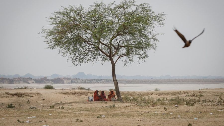 Warga berteduh dibawah pohon saat terjadi cuaca panas ekstrem di di Distrik Ballia di negara bagian utara Uttar Pradesh, India, Rabu (21/6/2023). (REUTERS/Adnan Abidi)