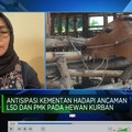 Video: Hewan Kurban Bebas PMK & LSD, Vaksinasi Digencarkan