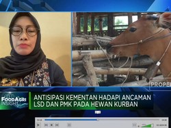 Video: Hewan Kurban Bebas PMK & LSD, Vaksinasi Digencarkan