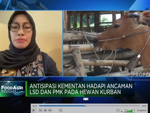Video: Hewan Kurban Bebas PMK & LSD, Vaksinasi Digencarkan