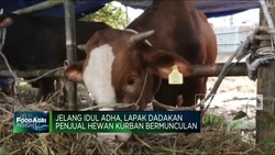 Video: Sambut Iduladha, Penjual Hewan Kurban Kian Ramai!