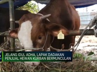Video: Sambut Iduladha, Penjual Hewan Kurban Kian Ramai!