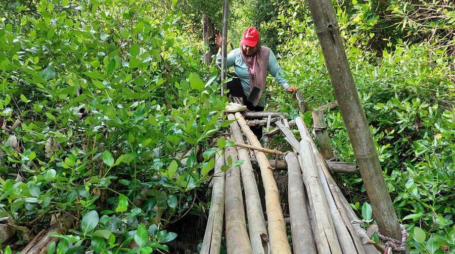Jembatan Kampung Beting, Muara Gembong, Bekasi yang terbuat dari bambu patah karena rapuh. (Dok. Berbuat Baik)