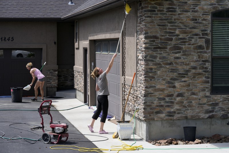 jutaan jangkrik kanibal atau dikenal sebagai jangkrik mormon di kota Elko, Nevada, Amerika Serikat. jutaan jangkrik kanibal atau dikenal sebagai jangkrik mormon di kota Elko, Nevada, Amerika Serikat. (AP/Rick Bowmer)