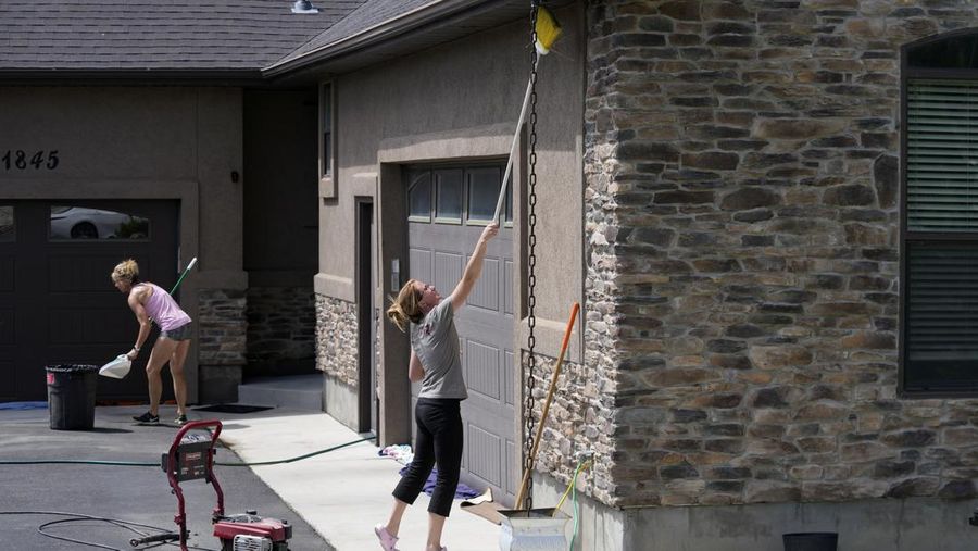 jutaan jangkrik kanibal atau dikenal sebagai jangkrik mormon di kota Elko, Nevada, Amerika Serikat. (AP/Rick Bowmer)