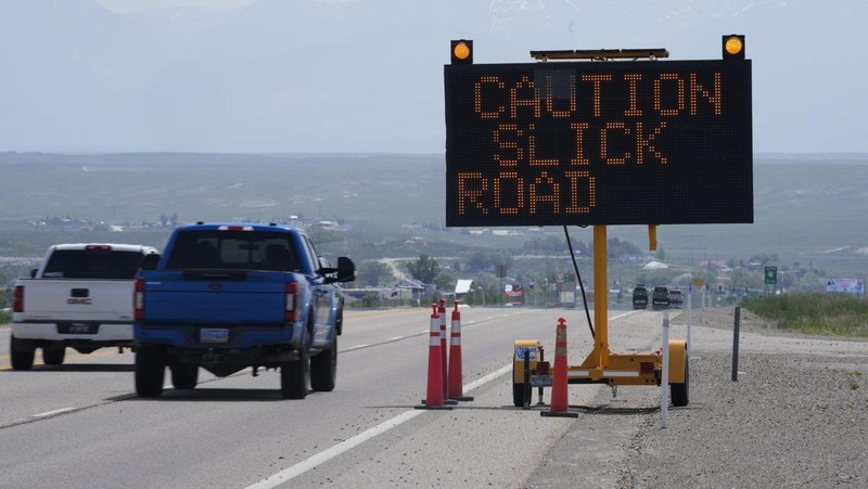 jutaan jangkrik kanibal atau dikenal sebagai jangkrik mormon di kota Elko, Nevada, Amerika Serikat. (AP/Rick Bowmer)