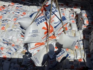 Bulog Sudah Teken Kontrak Baru Impor Beras 1 Juta Ton, Stok Diklaim Aman