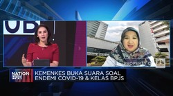 Status Endemi Jadi Pro Kontra, Kemenkes Buka Suara