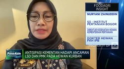 Virus Lato-lato & PMK Ancam Hewan Kurban, Kementan Antisipasi