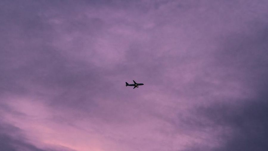 Ilustrasi Pesawat (Lywin via Pexels)