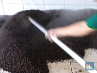 Geliat Pabrik Kecap 'Cap Korma' Produksi 4.800 Botol Per Hari