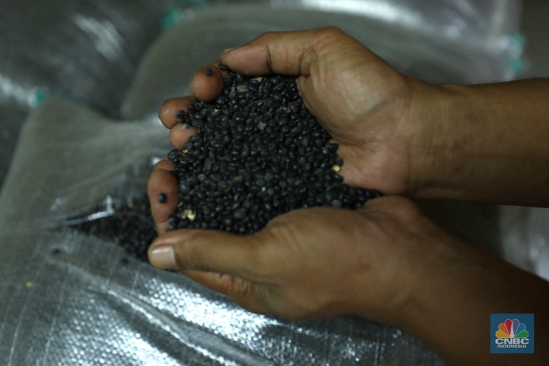 Pekerja beraktivitas di pabrik kecap 'Cap Korma' di Jakarta, Jumat (23/6/2023). (CNBC Indonesia/Tri Susilo)