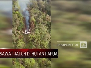 Pesawat Semuwa Air Jatuh di Hutan Papua