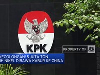 RI Kecolongan! 5 Juta Ton Bijih Nikel Dibawa Kabur Ke China