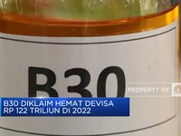 Video: Solar Sawit Bisa Hemat Devisa Rp 122 Triliun di 2022
