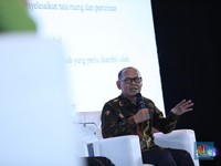 Tumpang Tindih Kebijakan, Pemilik Lahan Ogah Tanam Sawit