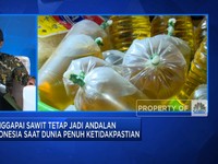 Solar Sawit, Solusi Industri Sawit Dukung Net Zero Emission