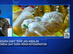 Solar Sawit, Solusi Industri Sawit Dukung Net Zero Emission