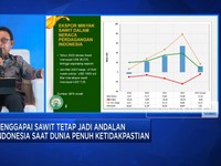 Bos Sawit Bongkar Sebab Produksi & Ekspor Sawit RI Turun!