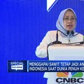 Pemerintah Kasih Lampu Hijau Pembentukan Lembaga Khusus Sawit