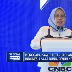 Pemerintah Kasih Lampu Hijau Pembentukan Lembaga Khusus Sawit