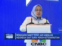 Genjot Peran Kelapa Sawit Sebagai Tulang Punggung Ekonomi RI