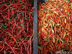 Harga Cabai Masih Mahal, Badan Pangan-Pedagang Ungkap Biang Keroknya