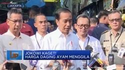 Jokowi Kaget! Harga Daging Ayam Menggila