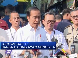 Jokowi Kaget! Harga Daging Ayam Menggila
