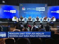 Dunia Penuh Ketidakpastian, Sawit Tetap Jadi Andalan RI?