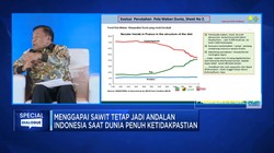 Pak Jokowi, Ini Tujuan DMSI Usul Bentuk Badan Khusus Sawit