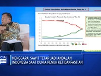 Pak Jokowi, Ini Tujuan DMSI Usul Bentuk Badan Khusus Sawit