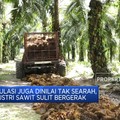 Sawit RI Jalan Sendiri-Sendiri, Hulu & Hilir Tak Terintegrasi