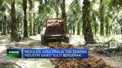Sawit RI Jalan Sendiri-Sendiri, Hulu & Hilir Tak Terintegrasi