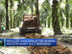 Sawit RI Jalan Sendiri-Sendiri, Hulu & Hilir Tak Terintegrasi
