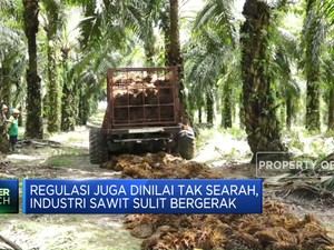 Sawit RI Jalan Sendiri-Sendiri, Hulu & Hilir Tak Terintegrasi