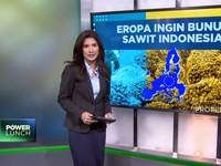 Video: Eropa Ingin Bunuh Sawit Indonesia