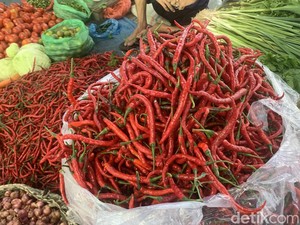 Harga Cabai Merah Anjlok, Petani Sumut: Upah Buruh Dibayar Pakai Hasil Panen