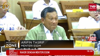 Video: Divestasi Vale Harga Mati, Bawa Pulang Nikel ke RI