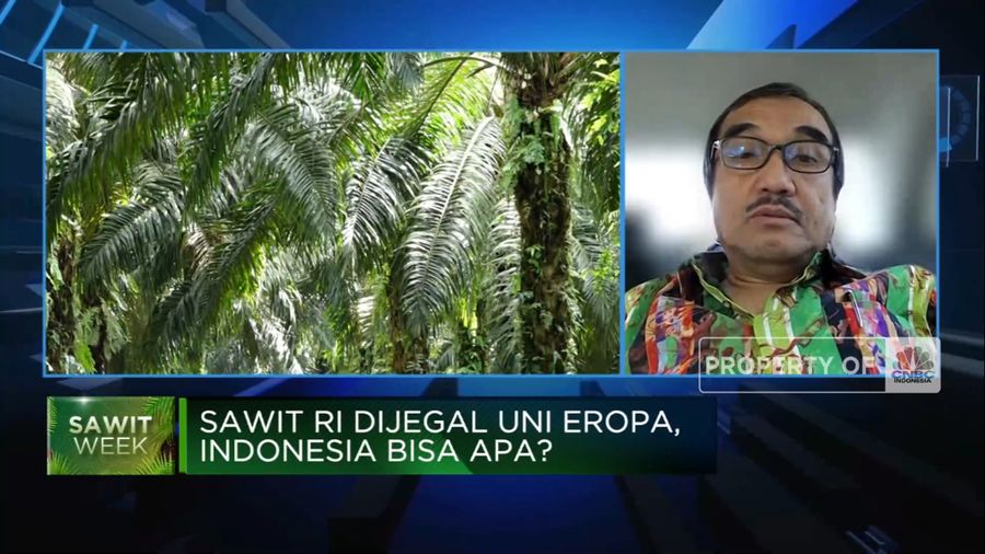 GAPKI: Larangan Impor Sawit Uni Eropa ‘Membunuh” Petani Kecil (CNBC Indonesia TV)